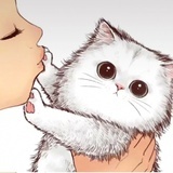 猪仔煲