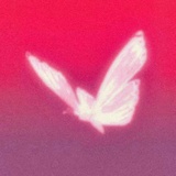 好好