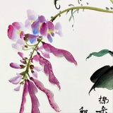 眉豆