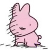 狗勾专家