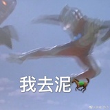 只说实话