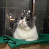 毛豆豆～