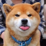 小奶瓶