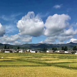 我不知道啊
