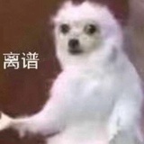 sbonge
