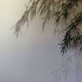 月亮不睡觉