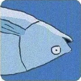 我他妈不吃香菜