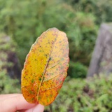 慢慢慢