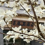 2002