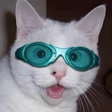 1125