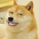名侦探柯北