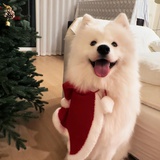 也就这样吧