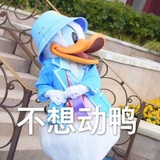豆友207034059