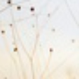 ls