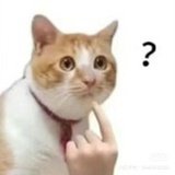 看不惯就闭麦