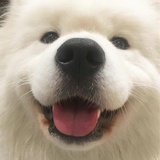 椰椰耶耶
