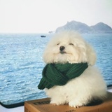 苏州河
