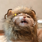 菠萝没有❤