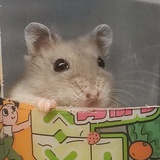 囤粮中
