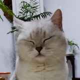 (͒˶´⚇`˵)͒