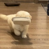 这不对吧