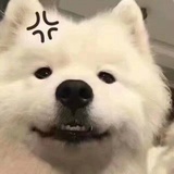 今天也很开心