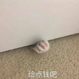 想喝奶茶11