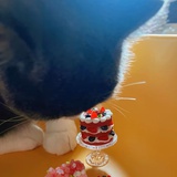 犄角然然