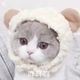 脾气不好