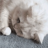 窝委屈我想你