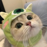 妮大妮