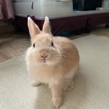 丛筝zoey