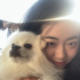 出来玩叭