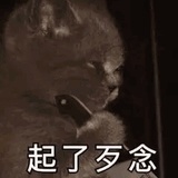 圈圈圆圆圈圈❀