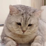 阿玉