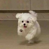 三天打鱼两天晒