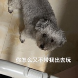 大哥二十斤