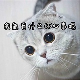 臭豆腐