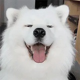 😝