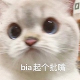 苏舟和