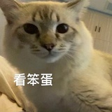 会拥有西森的