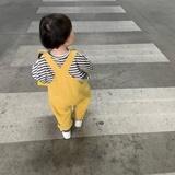 绥绥