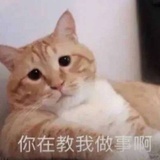爱谁谁