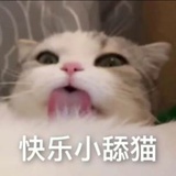月亮不亮