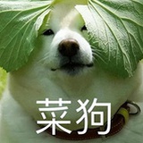 微涼的狗熊