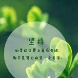 叶逐风～影