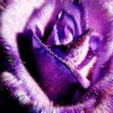 ❦ζั͡₯㎕ζั͡✾ 尨♚尊