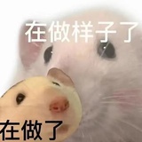 最好还是去睡觉