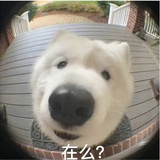 温和冷静交流