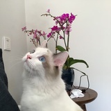 小白白白